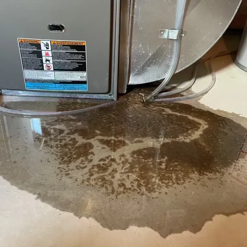 Appliance Leak Cleanup in Thornport, OH